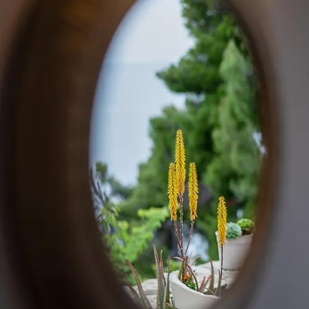 Pensjonat Pantheon 3*