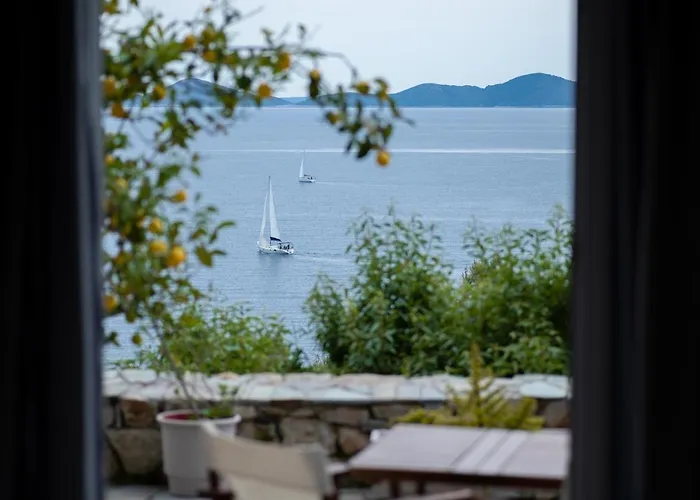 Pantheon ゲストハウス