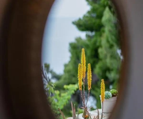 Πανσιόν Pantheon 3*